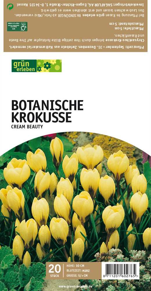 Botanische Krokusse, Grün erleben, Blumenzwiebeln Pflanzen Spengler