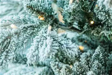 LICHTER ZU WEIHNACHTEN