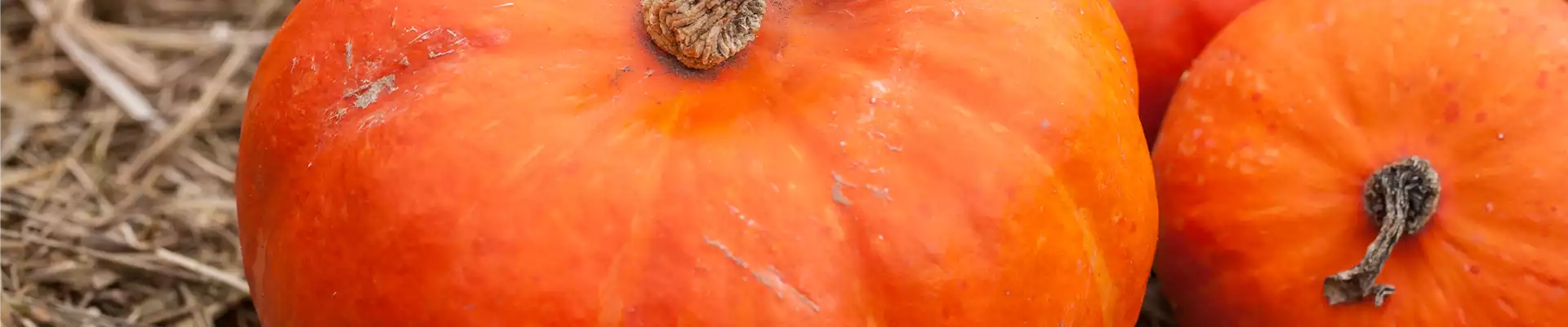 WIE GEHT...ERNTEDANK?