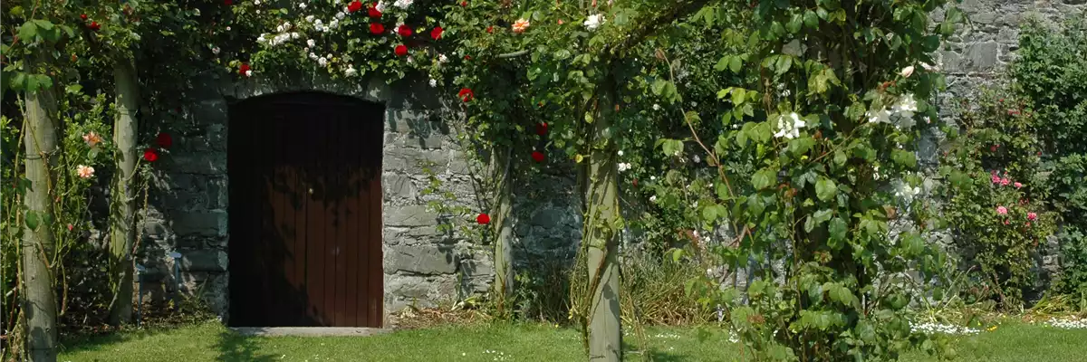AUF ROSEN GEBETTET!