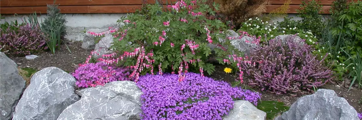 IM BAUERNGARTEN!