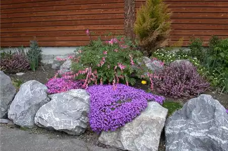 IM BAUERNGARTEN!