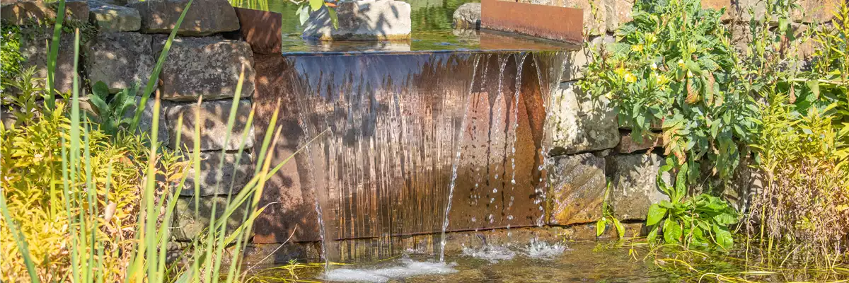WASSERPFLANZEN FüR DEN GARTENTEICH