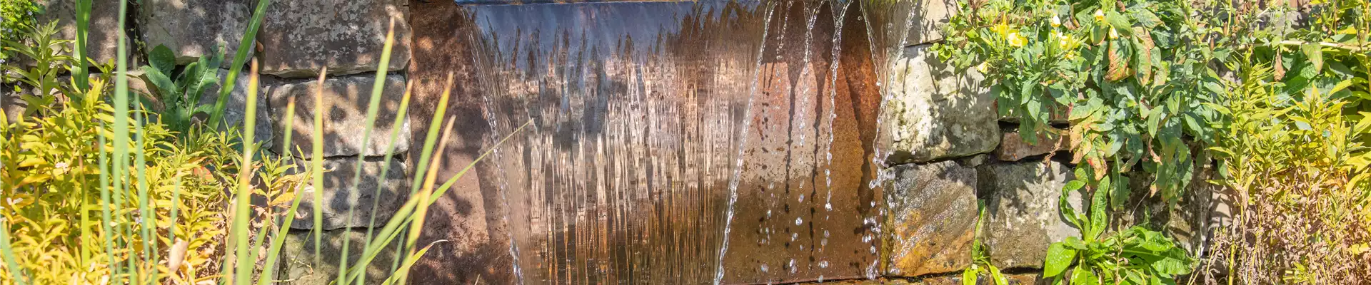WASSERPFLANZEN FüR DEN GARTENTEICH