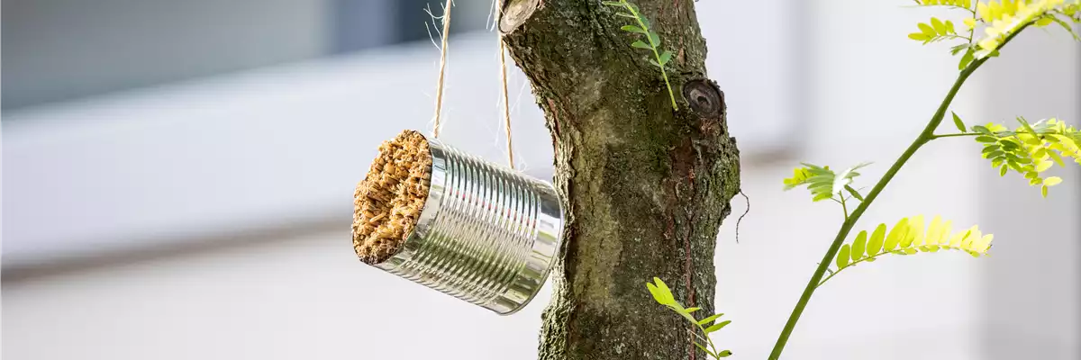 WIE GEHT... INSEKTENHOTEL?