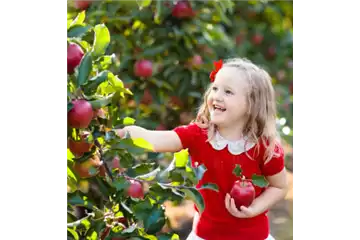 OBSTGARTEN FÜR KINDER