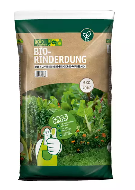 mundsplung mit aloe vera Natrliches Mundwasser mit Aloe-Vera & Minze