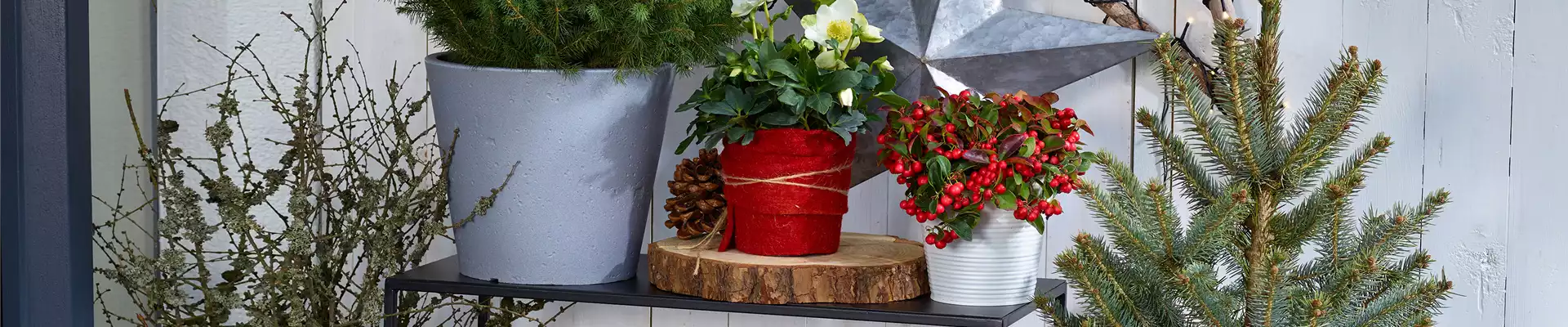 TO-DO's IM DEZEMBER