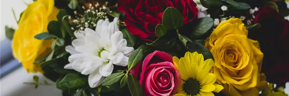 St. Valentin feiern