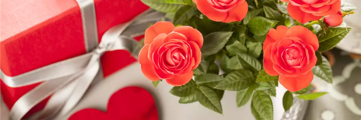 EINE BLUME SAGT MEHR ALS 1000 WORTE