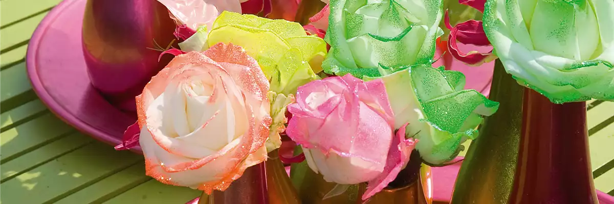 DIE TOP 8 DER SOMMERBLUMEN