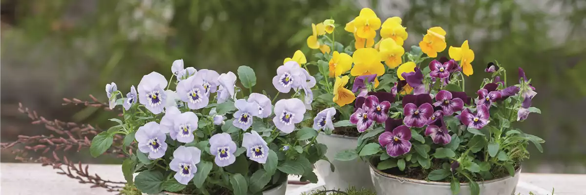 WIR LIEBEN DEN FRüHLING! 