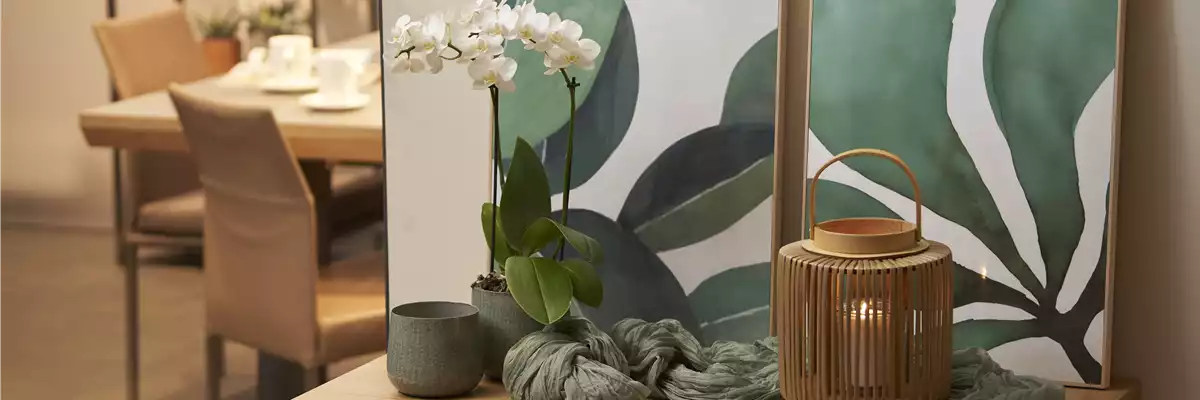 GRÜNES WOHNZIMMER!
