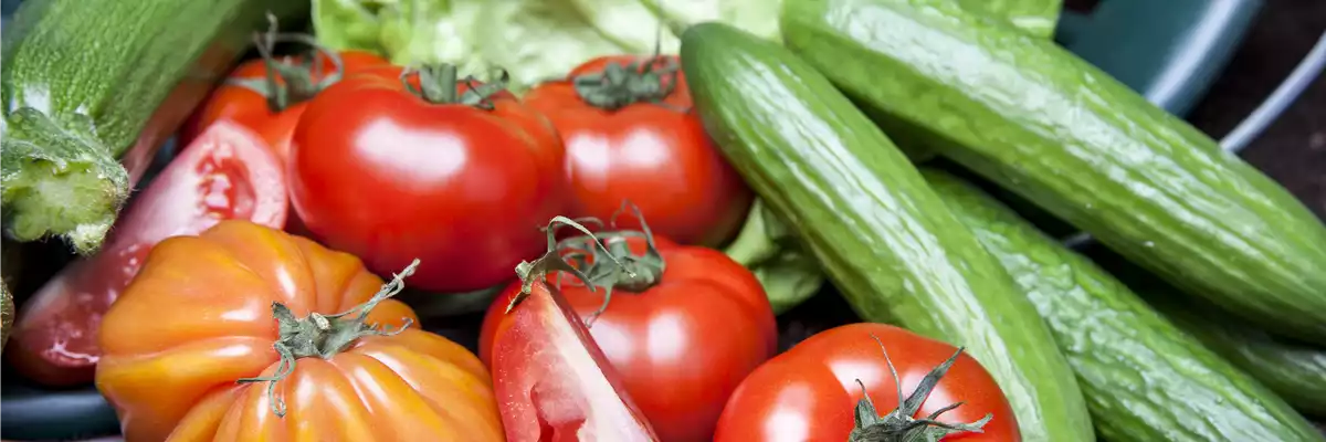 ALLES FÜR DEN BAUERNGARTEN