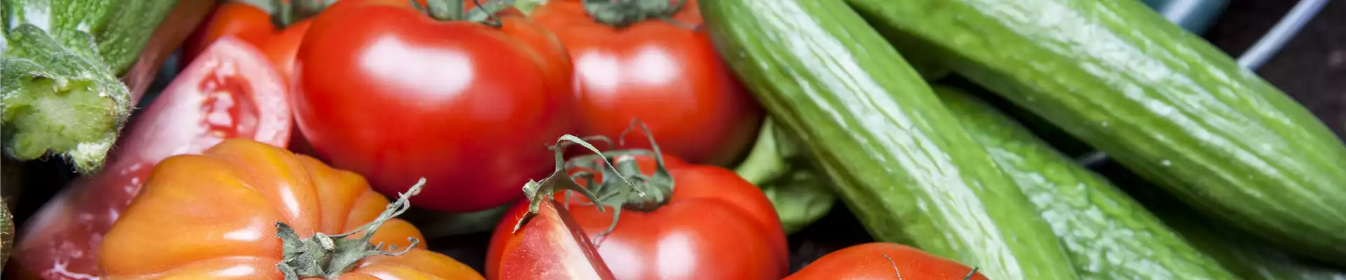 ALLES FÜR DEN BAUERNGARTEN