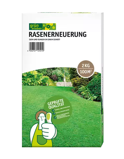 Rasenerneuerung 
