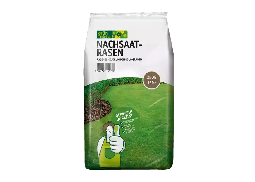 Nachsaatrasen
