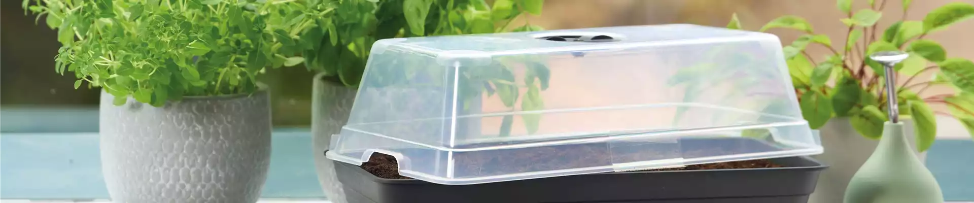 PLATZ DA AUF DER FENSTERBANK!