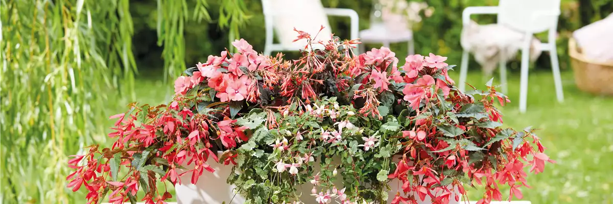 IM TREND: BALKON!