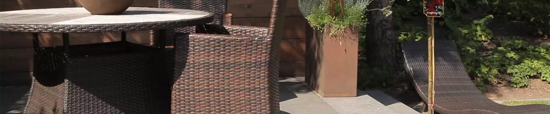 Hochstammrose - Einpflanzen in ein Gefäß (thumbnail)