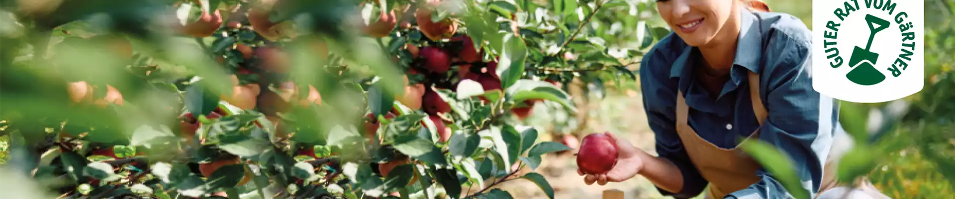 OBSTGARTEN!