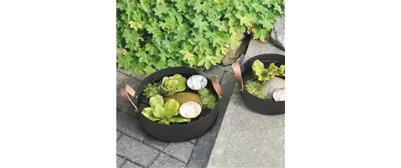 FASZINATION WASSERGARTEN!