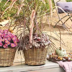 PFLANZ DIR GUTE HERBSTLAUNE! PFLANZ DIR GUTE HERBSTLAUNE!