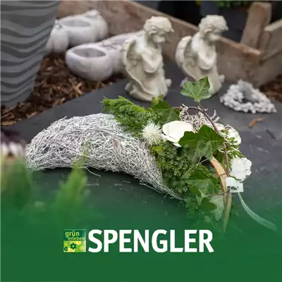 Allerheiligenschau in Herbrechtingen