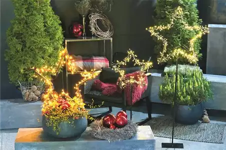 LICHTBLICKE IM WINTER-GARTEN!