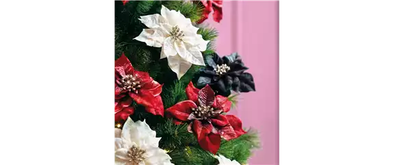 IM GLANZ DER ELEGANZ! IM GLANZ DER ELEGANZ!