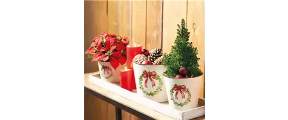 WEIHNACHTEN BEGINNT ZUHAUSE! WEIHNACHTEN BEGINNT ZUHAUSE!