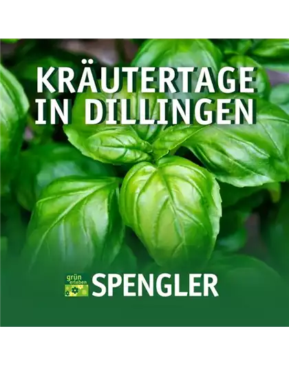 Kräutertage Dillingen