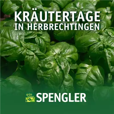 Kräutertage Herbrechtingen