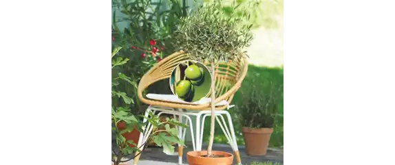 URLAUBSGEFÜHLE ZUHAUSE! 